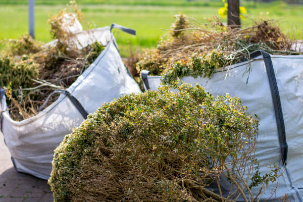 Professional Junk Removal in Cresco, IA